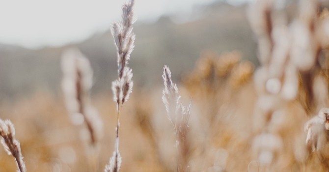 How to Know If You Have Seasonal Depression: Signs, Symptoms, and When to Seek Help