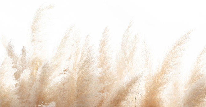 What Triggers Seasonal Depression? Key Causes and How to Manage Them image