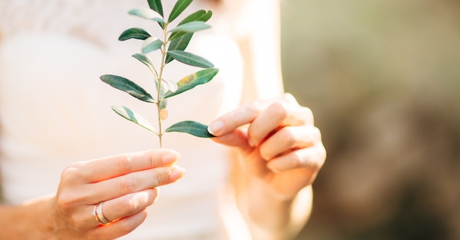 Nervous System Regulation for a Busy Season