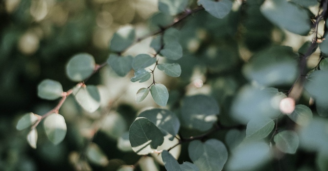 What Is Trauma And How Do You Know If You’ve Experienced It? image