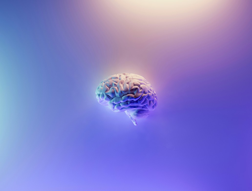 image of a brain, symbolizing PTSD, memory, and healing after trauma