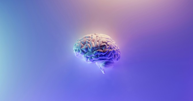 How Trauma Affects the Brain