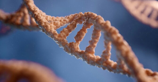 Can Trauma Cause ADHD? image