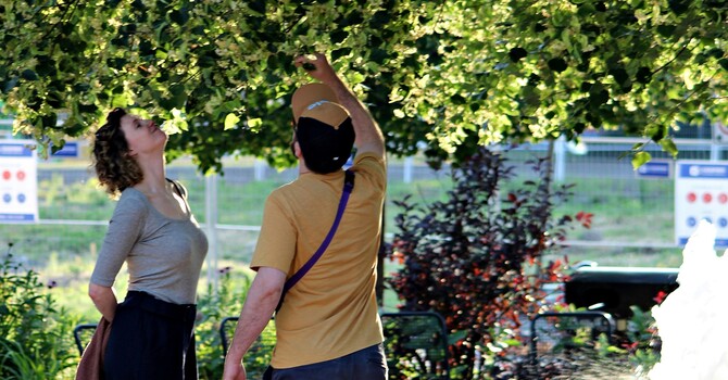 Emotional Intimacy: The Foundation of Lasting Relationships image