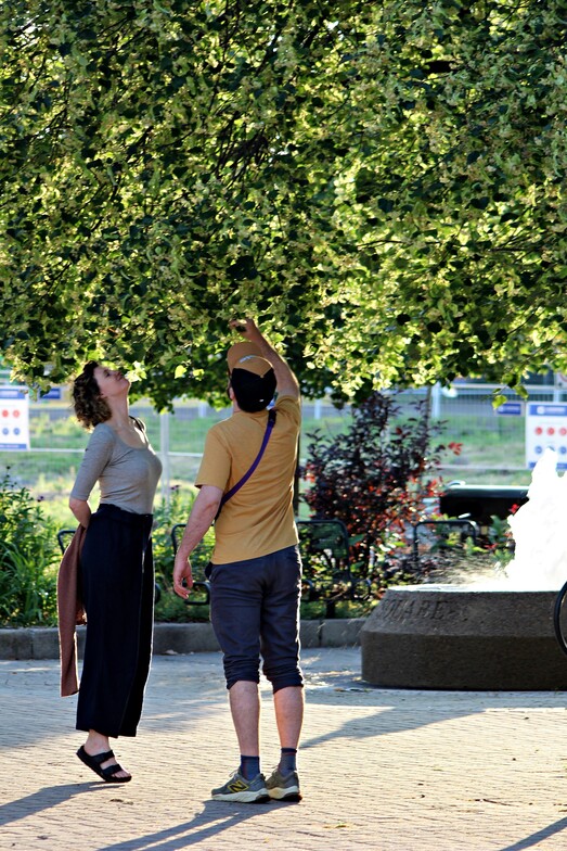 Coupe looking at leave in Ottawa Ontario representing emotional intimacy 